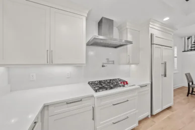 Davis Islands Kitchen Remodel - Rahal Schoeman Construction